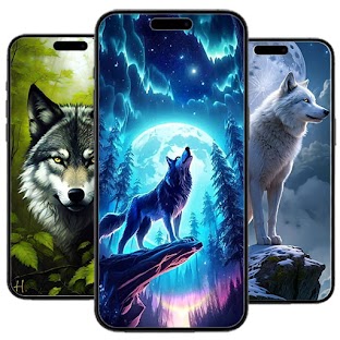 Wolf Wallpaper HD